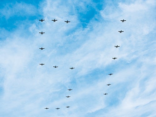 Mustang-P-51-014.jpg
