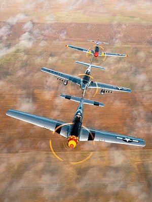 Mustang-P-51-005.jpg