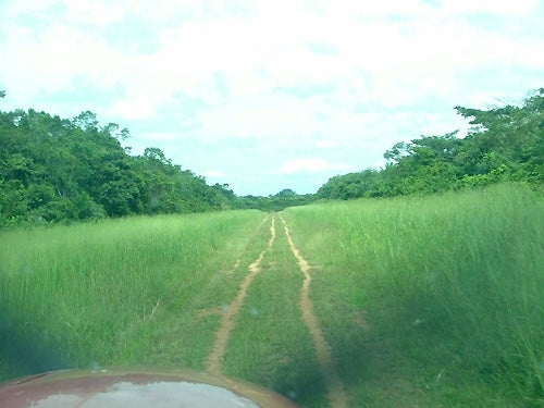 FL0308-Lessons-4.jpg