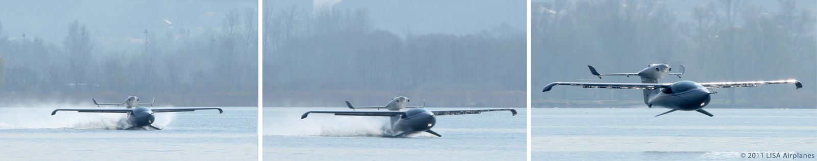 akoya_5.jpg