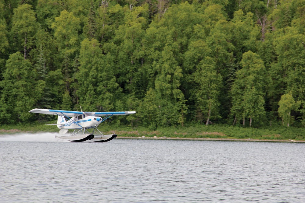 fly1111_feat_sea8.jpg