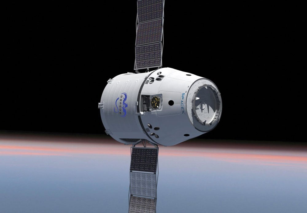 dragon5.jpg