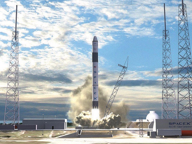 dragon6.jpg