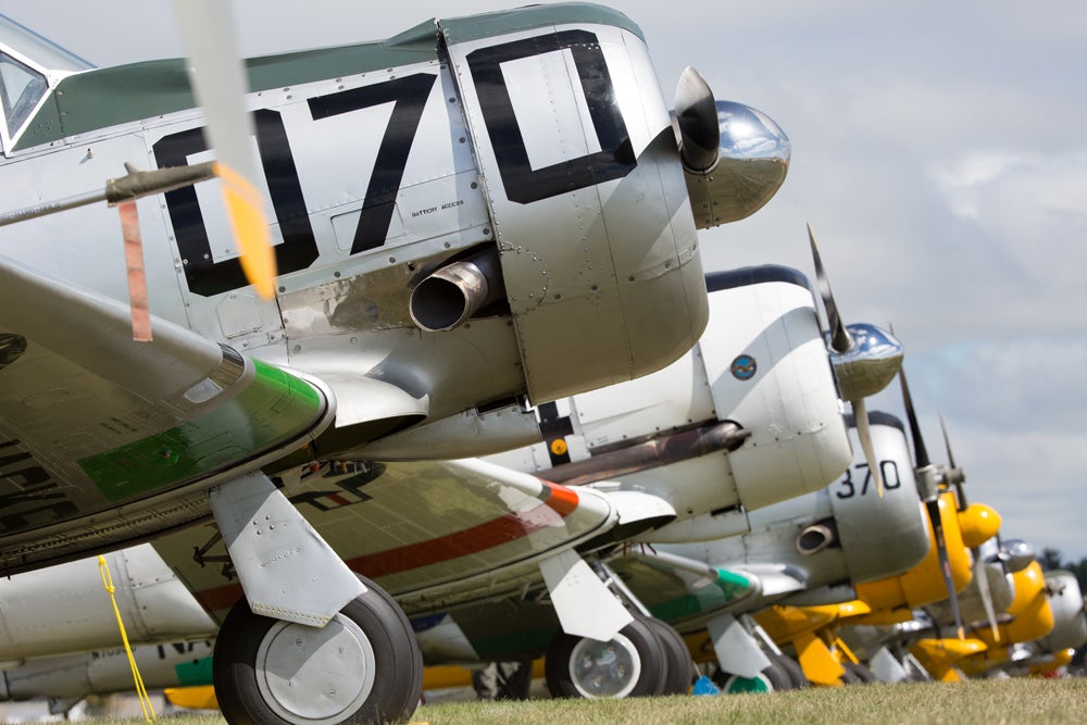 row of t-6's.jpg