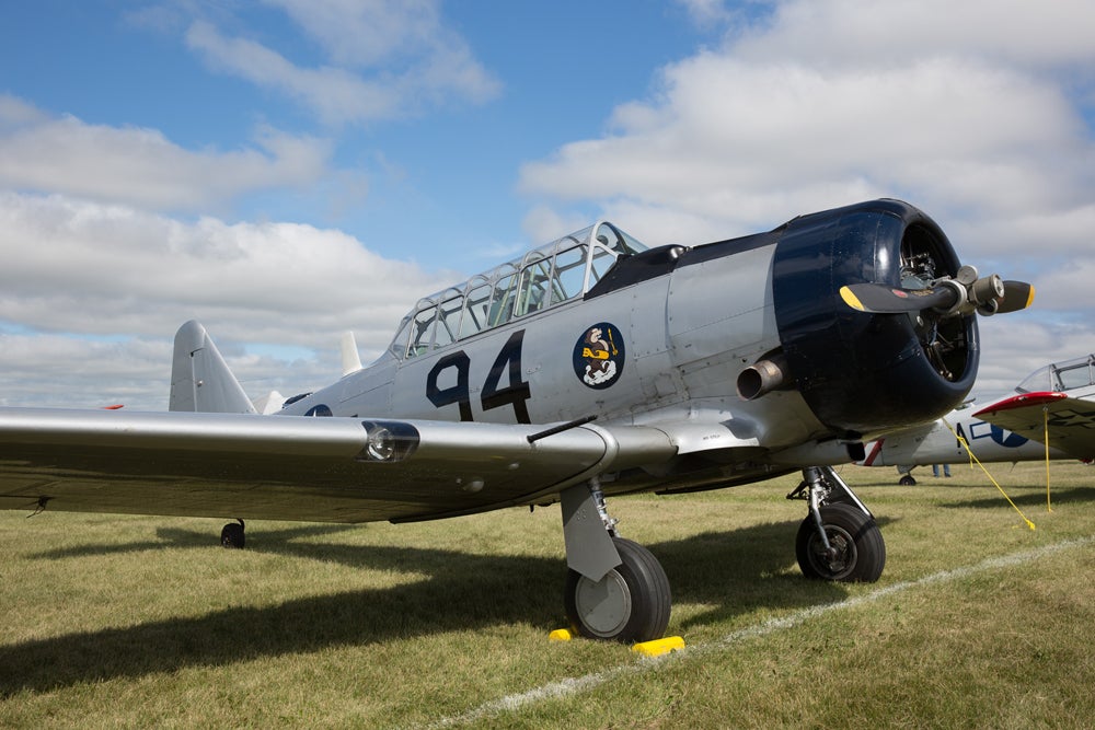 t6.jpg