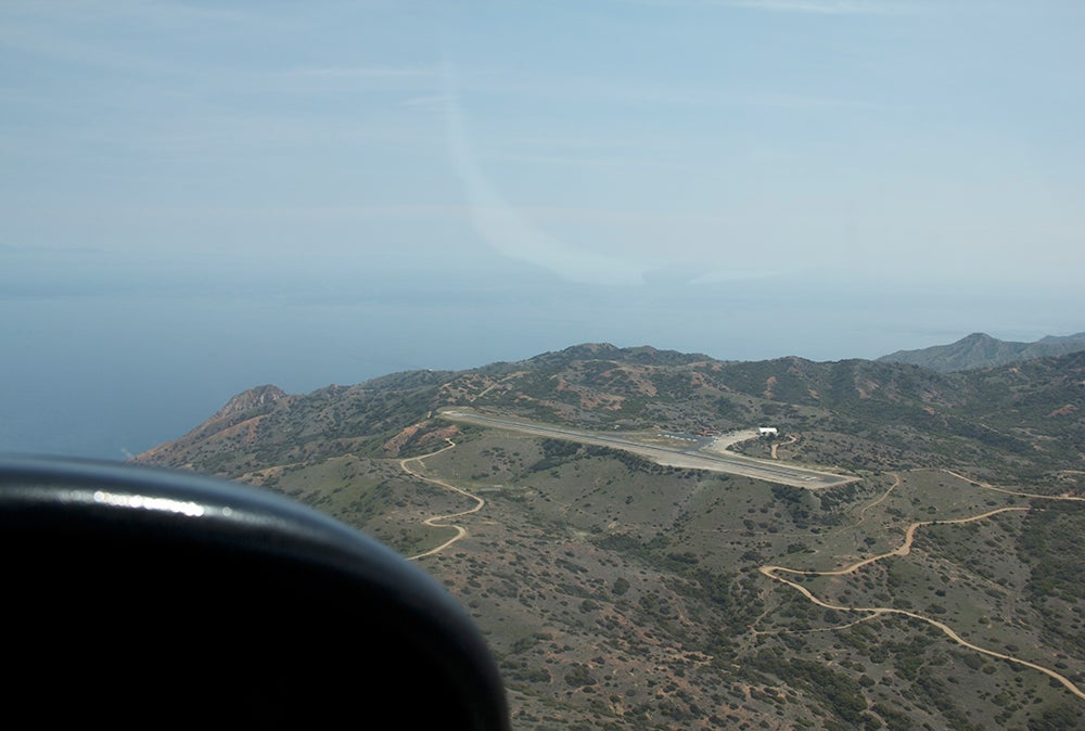 toptips-hilltop-runway.jpg