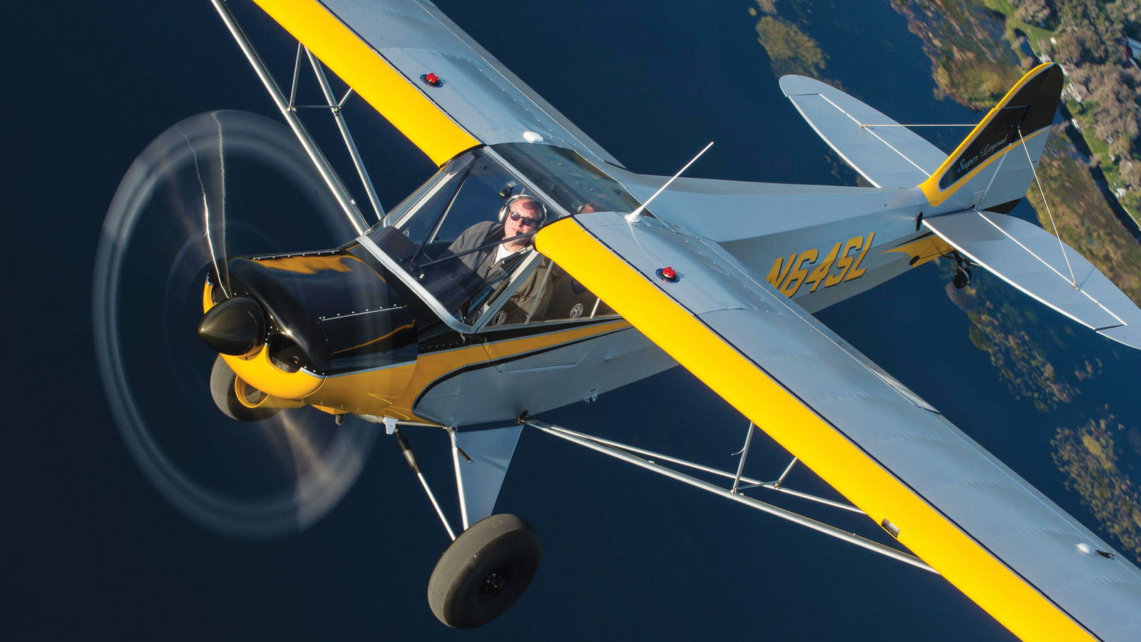 American Legend Cub