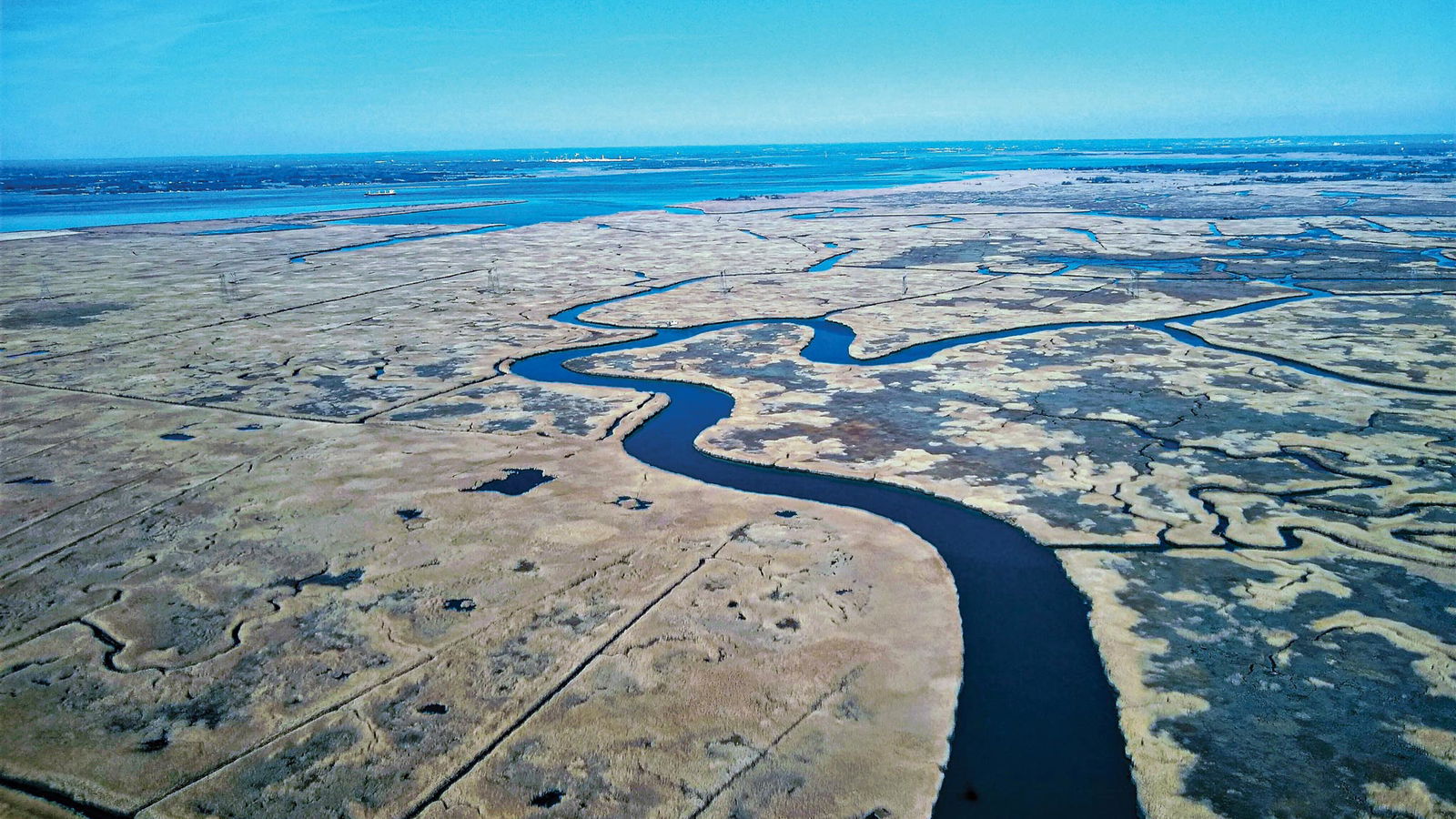New Jersey wetlands