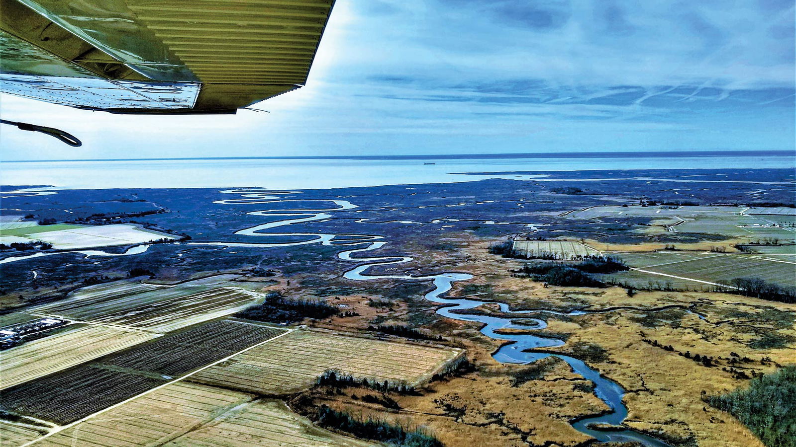 New Jersey wetlands
