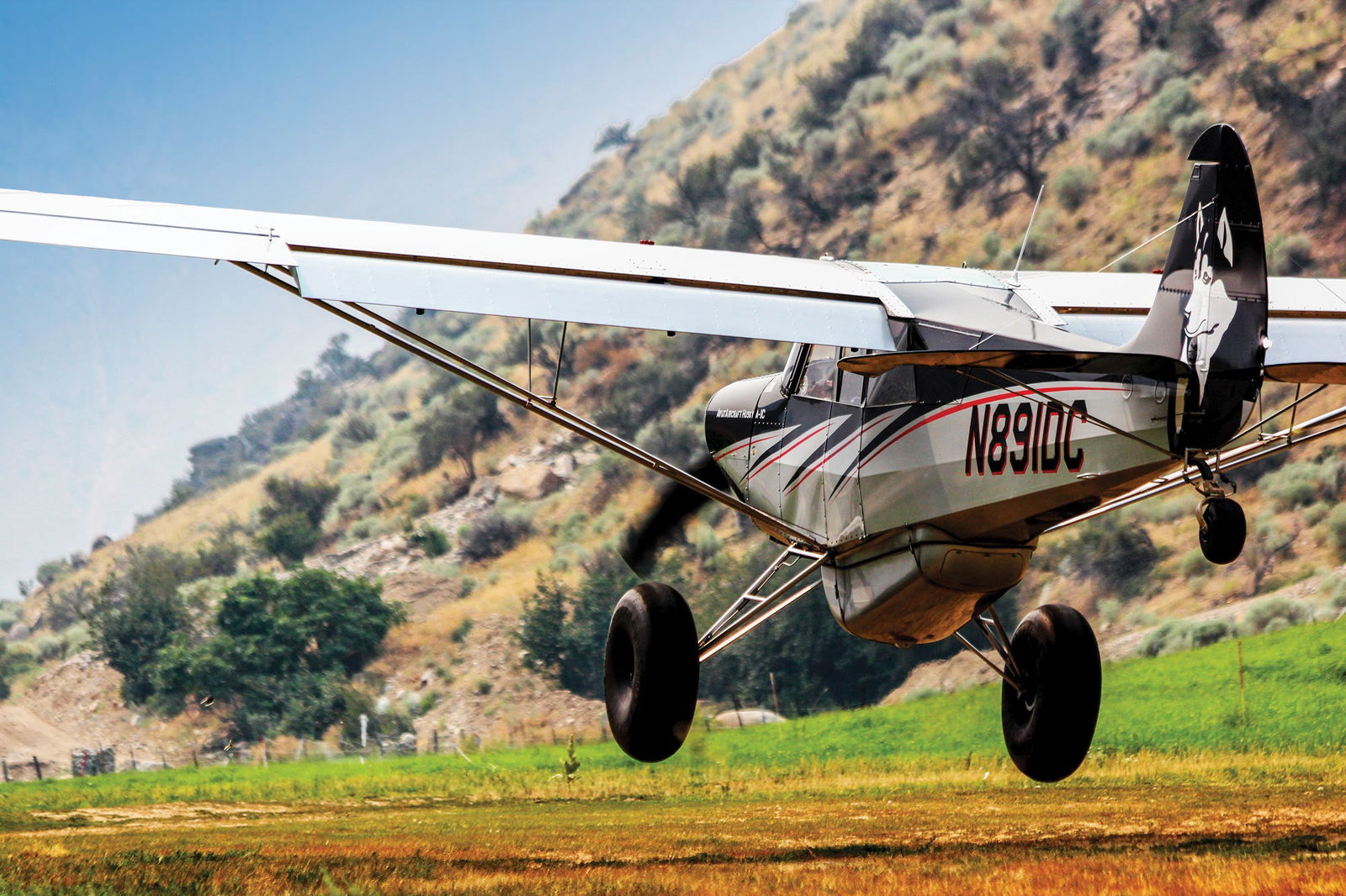 taildragger airplane