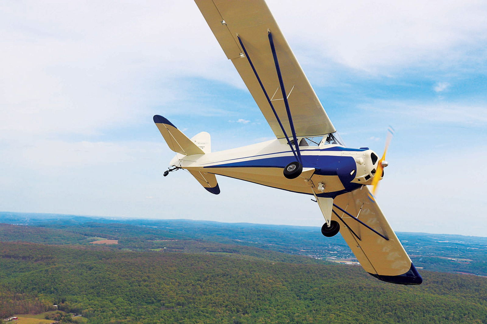 taildragger airplane