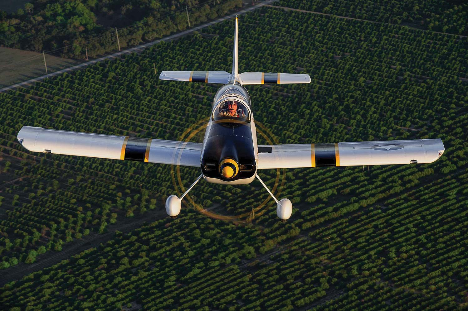 Home-built plane