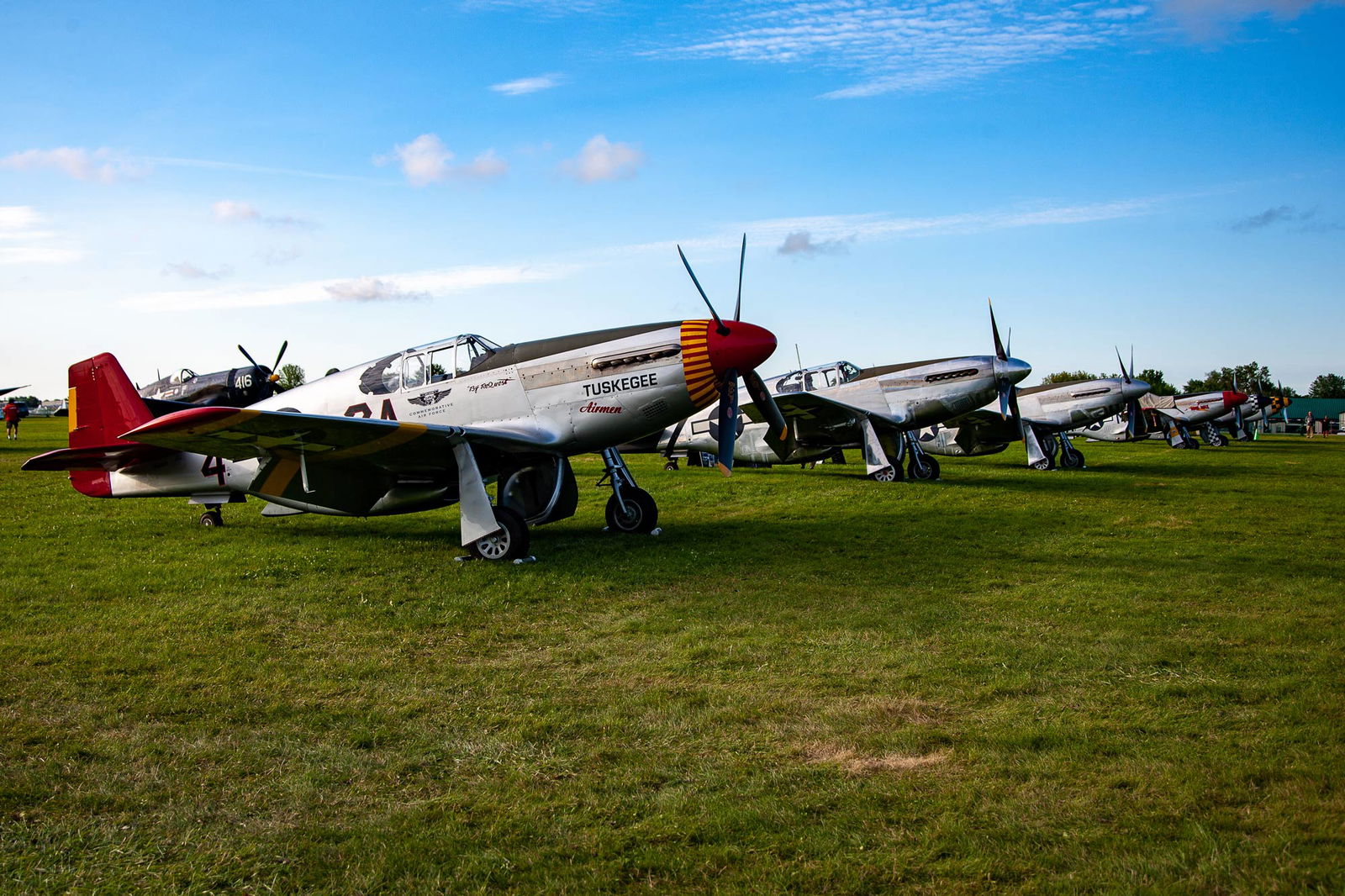 P-51 Mustang honoring the Tuskegee Airmen