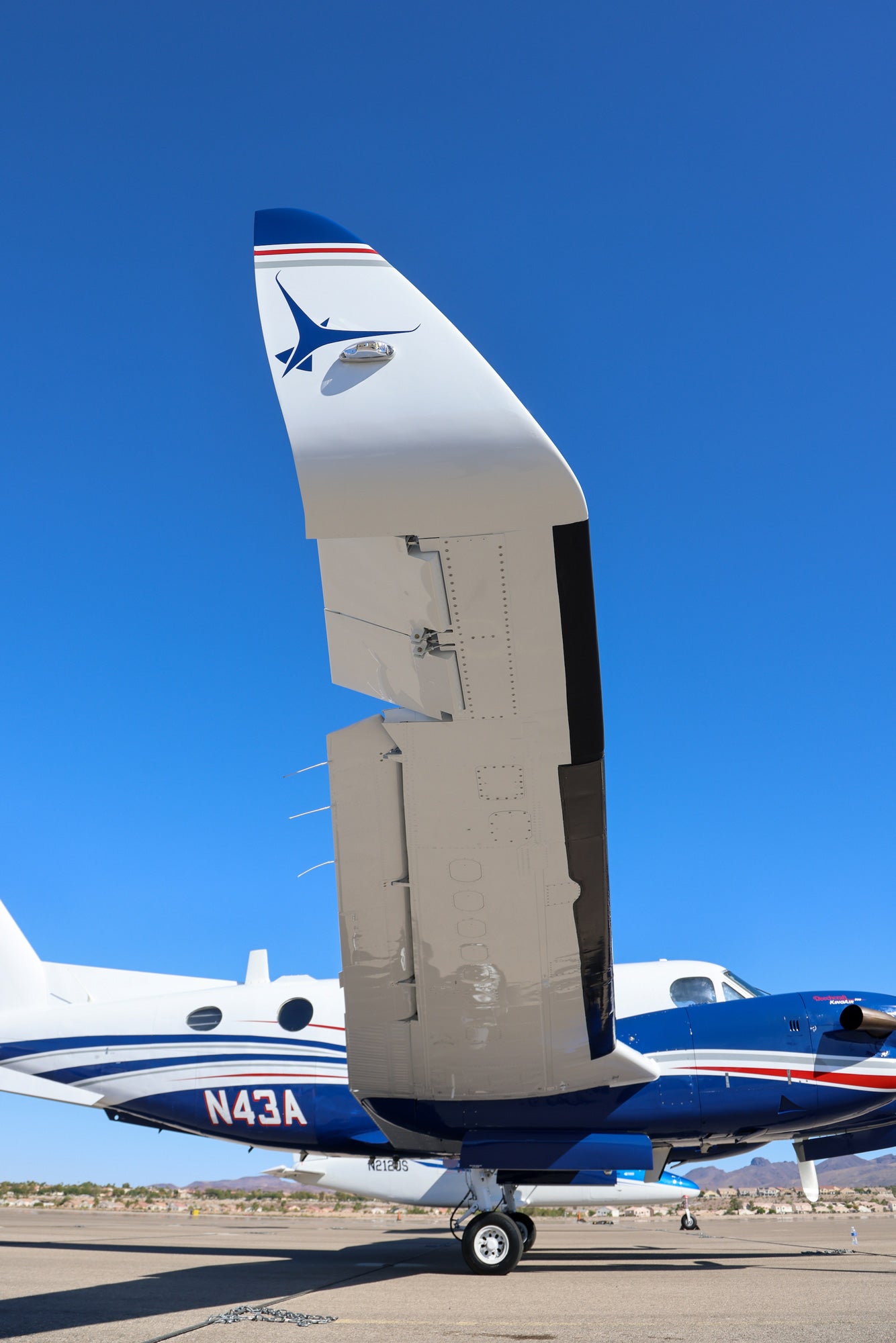 Tamarack winglets