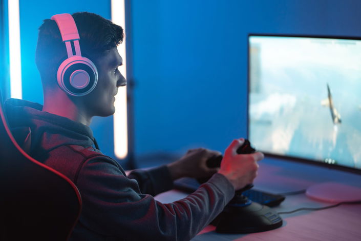 HOTAS Flight Stick