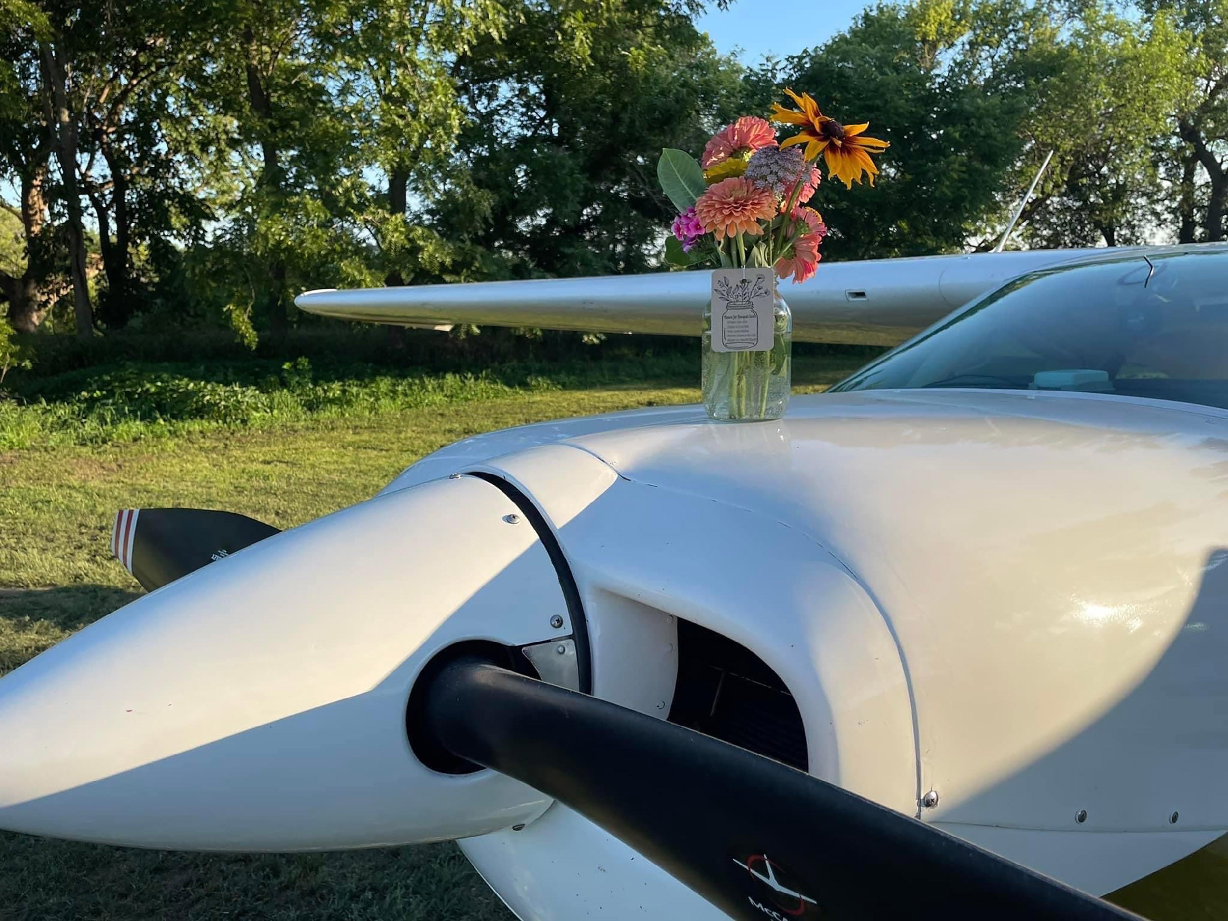 Airplane with a vase of flowers perched on the fuselage