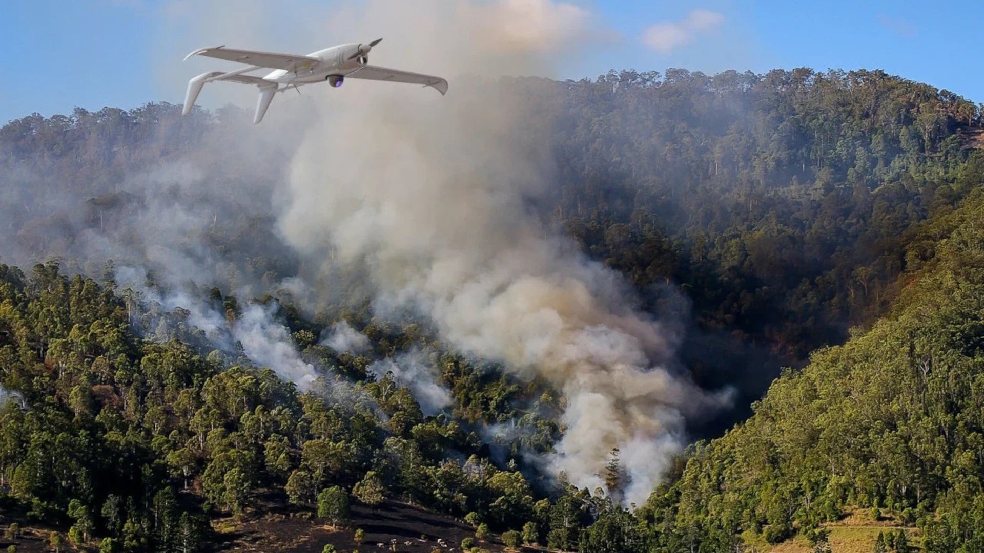 Ukraine Russia drones Skyeton
